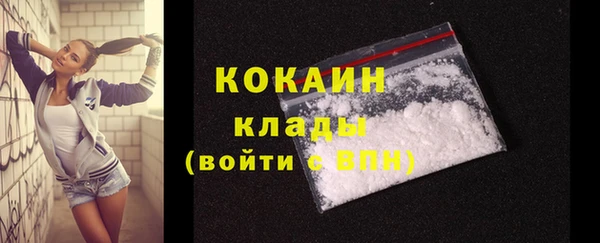 индика Липки