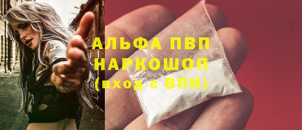 PSILOCYBIN Кукмор