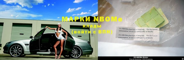хмурый Ладушкин