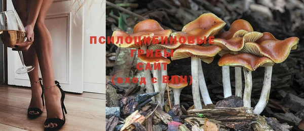 трава Лабытнанги