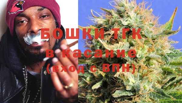 индика Липки