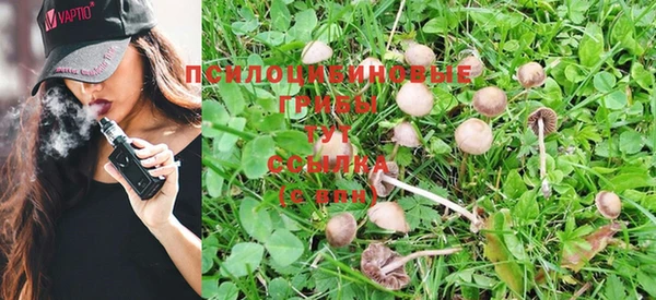 трава Лабытнанги