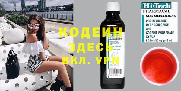хмурый Ладушкин